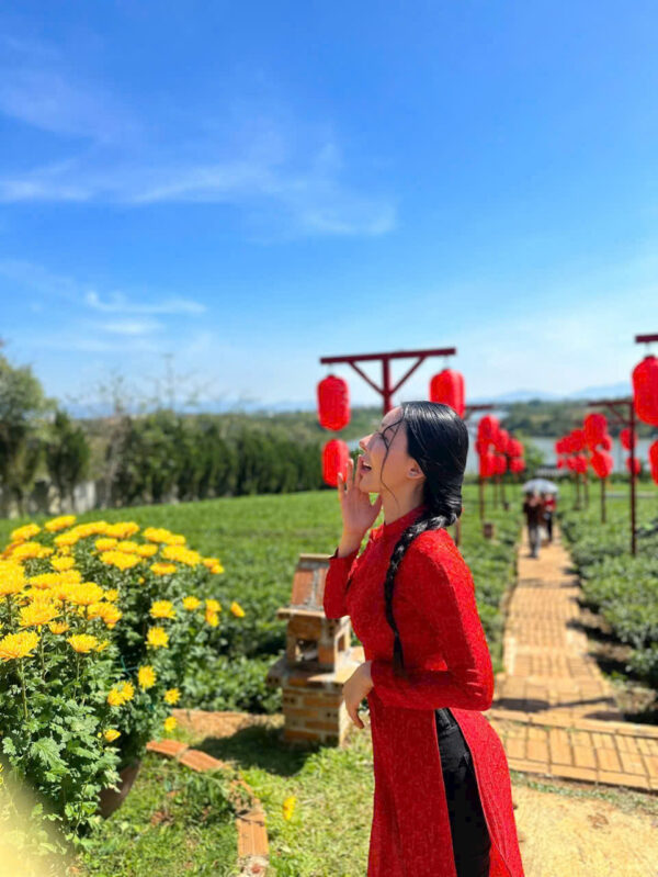 Ngô Thị Yến - 001 - Ảnh 3